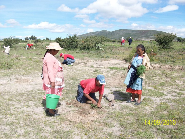 Proyecto CICA 1